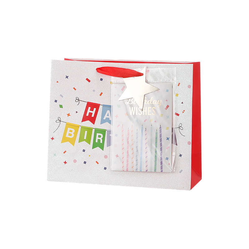 Kraft Birthday Gift Bags with Handles Party Favors