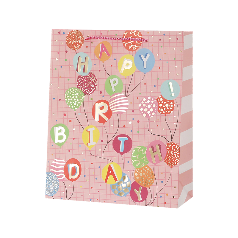 Kraft Birthday Gift Bags with Handles Party Favors