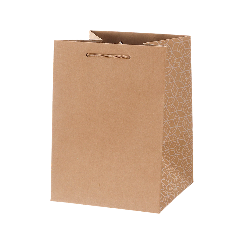 Cheap Kraft Paper Bags Carrying Gift Bag Print with Handles China
