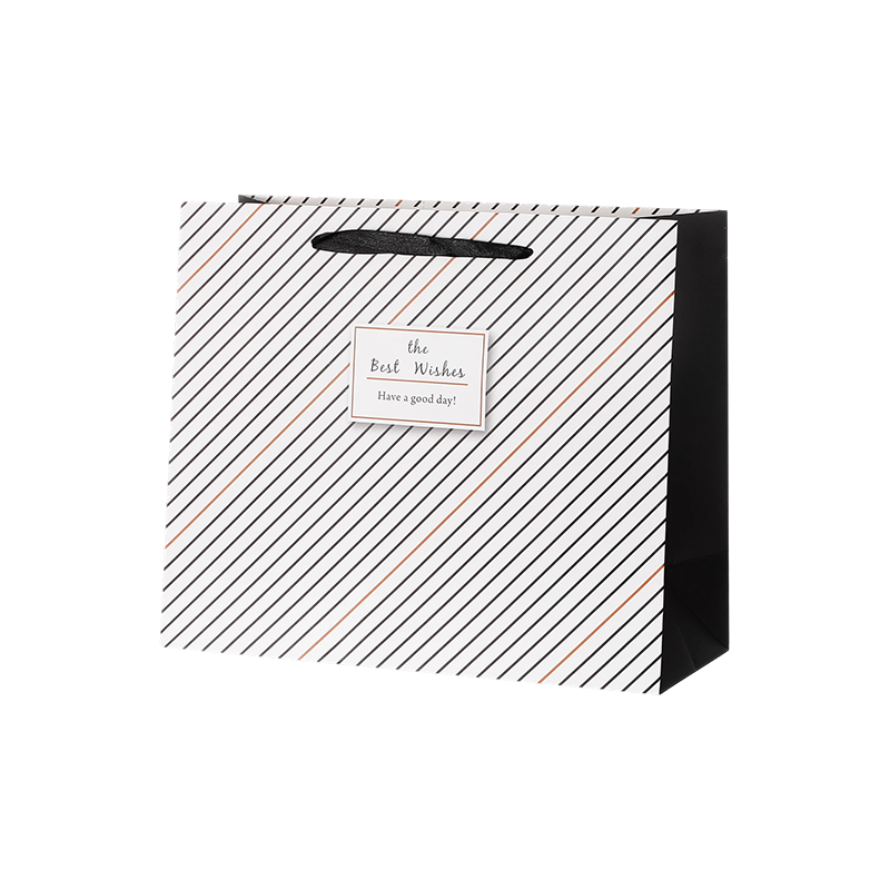 Premium Gift Paper Bags for Retail Shopping and Gift Packaging