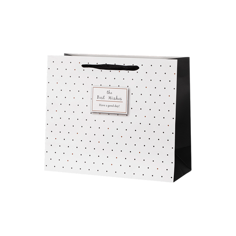 Premium Gift Paper Bags for Retail Shopping and Gift Packaging