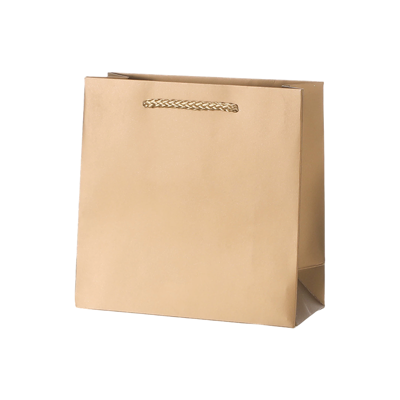 Premium Gift Paper Bags for Retail Shopping and Gift Packaging