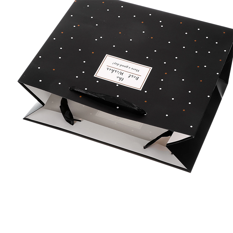 Premium Gift Paper Bags for Retail Shopping and Gift Packaging